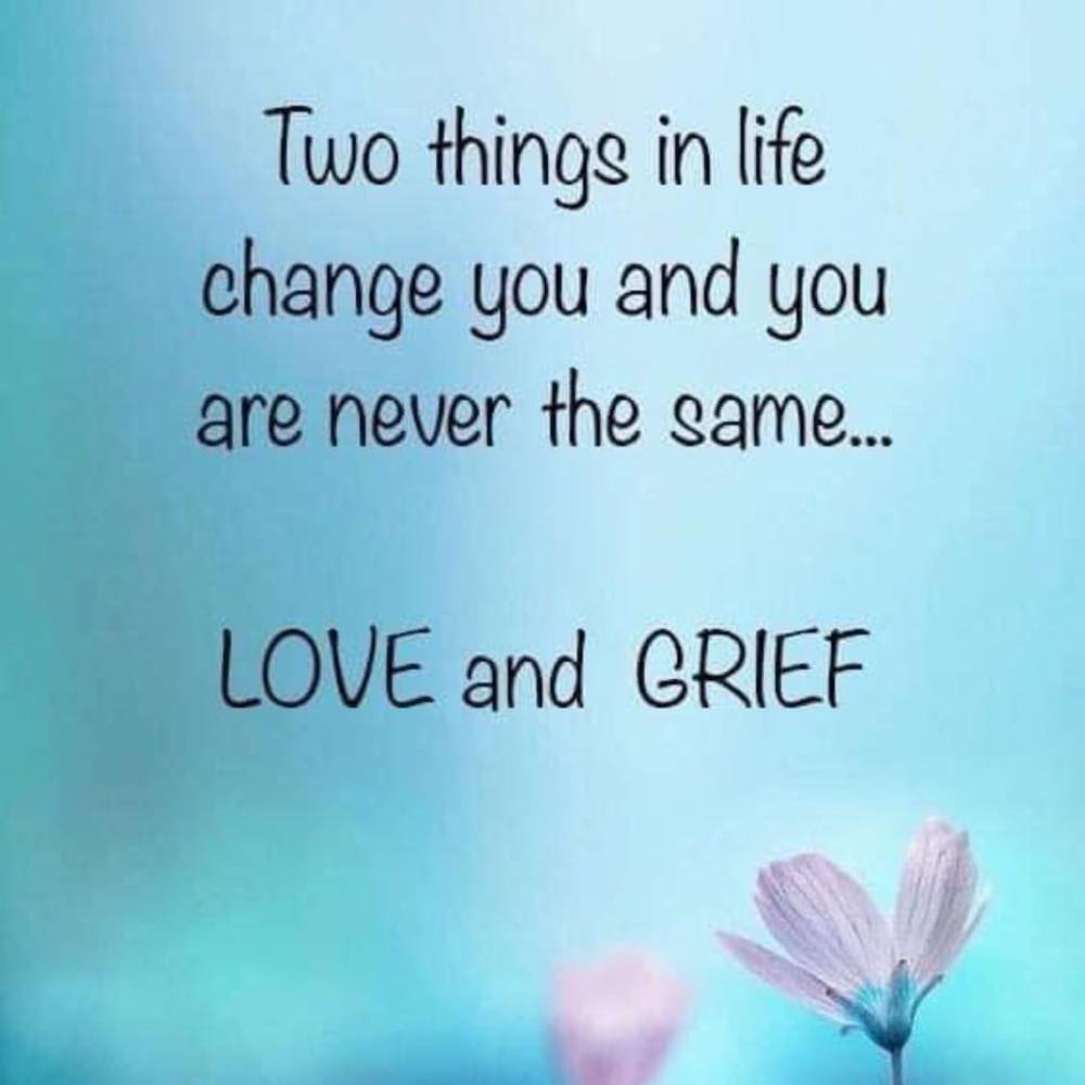 Meet your Posher, Suzanne